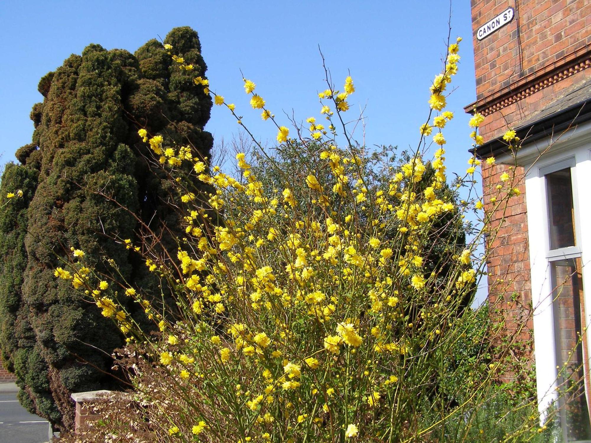 Anton Guest House Bed And Breakfast Shrewsbury Exteriér fotografie