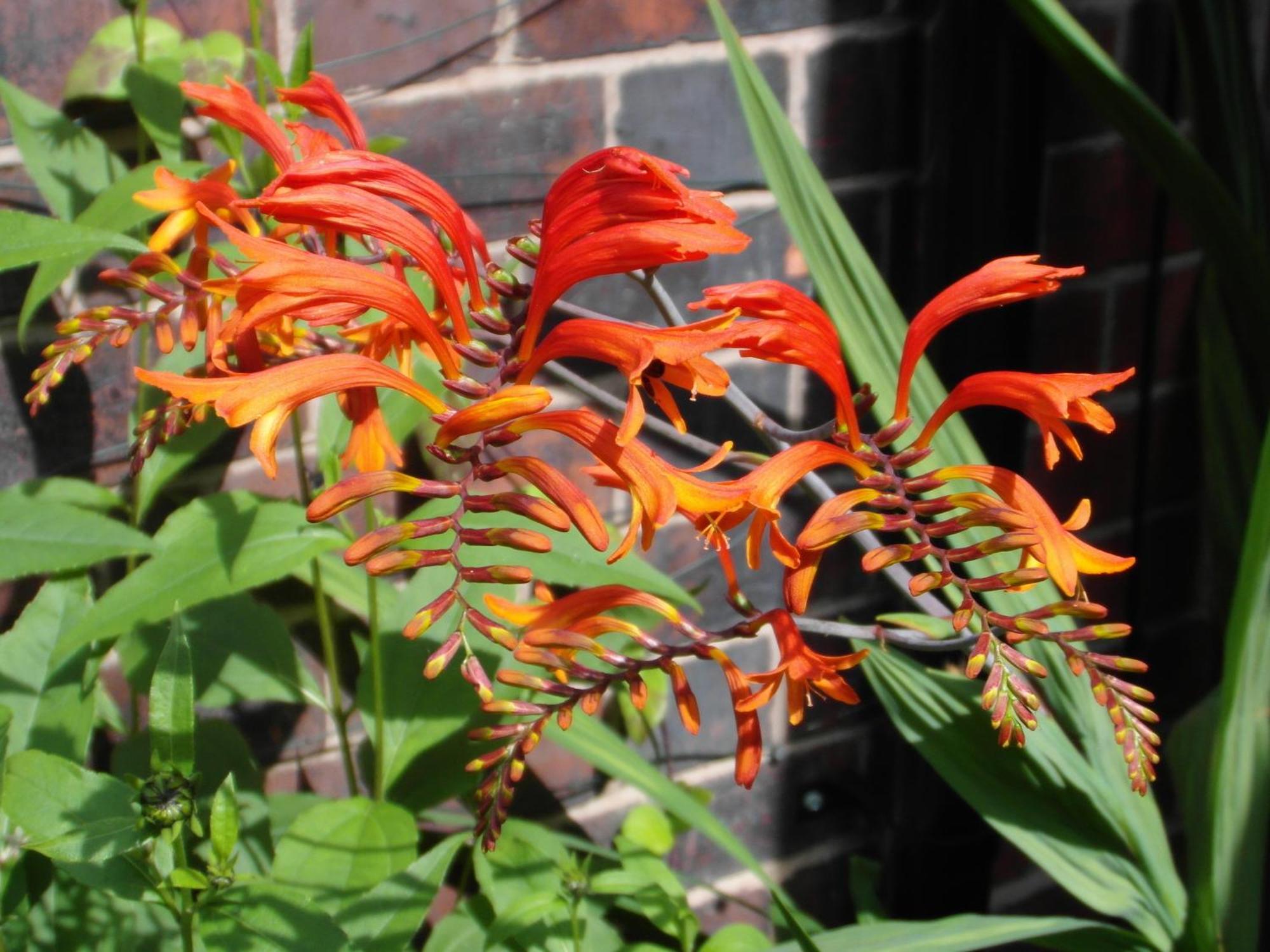 Anton Guest House Bed And Breakfast Shrewsbury Exteriér fotografie
