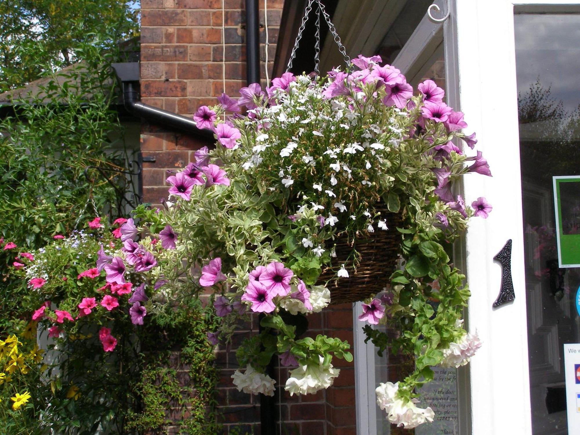 Anton Guest House Bed And Breakfast Shrewsbury Exteriér fotografie